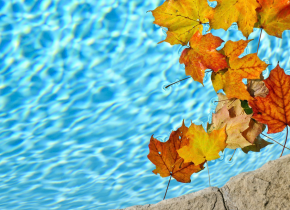 Piscine avant produit d’hivernage.