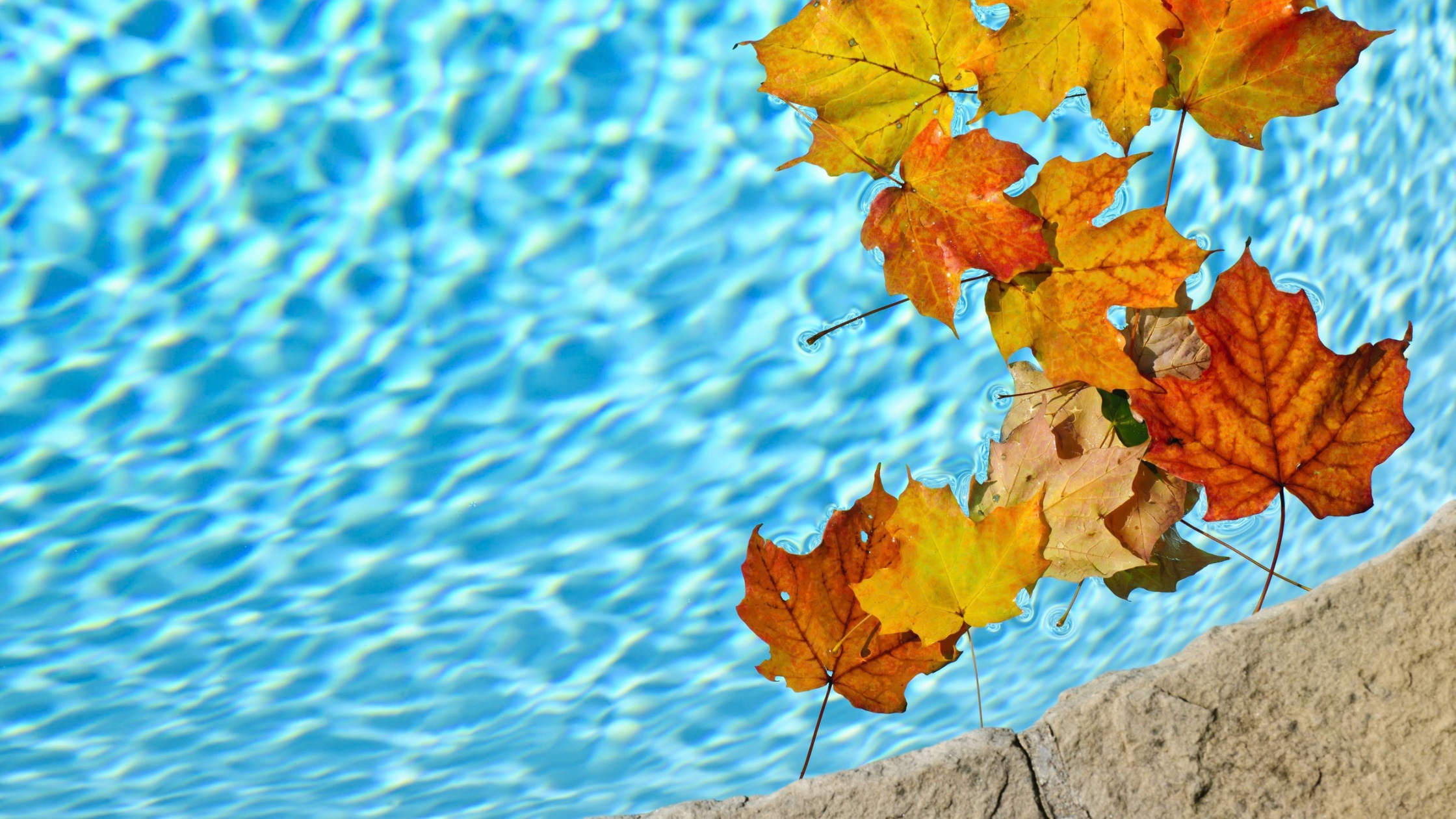 Piscine avant produit d’hivernage.